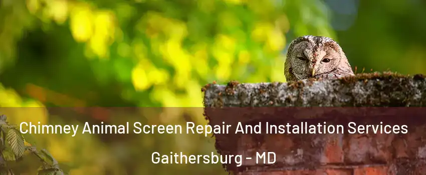  Chimney Animal Screen Repair And Installation Services Gaithersburg - MD