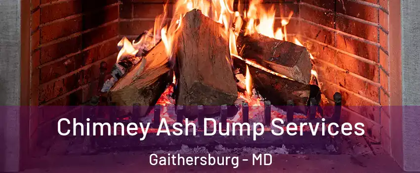  Chimney Ash Dump Services Gaithersburg - MD