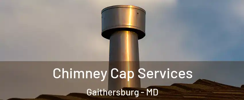  Chimney Cap Services Gaithersburg - MD