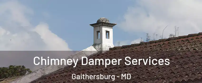  Chimney Damper Services Gaithersburg - MD