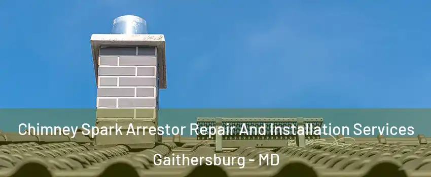  Chimney Spark Arrestor Repair And Installation Services Gaithersburg - MD