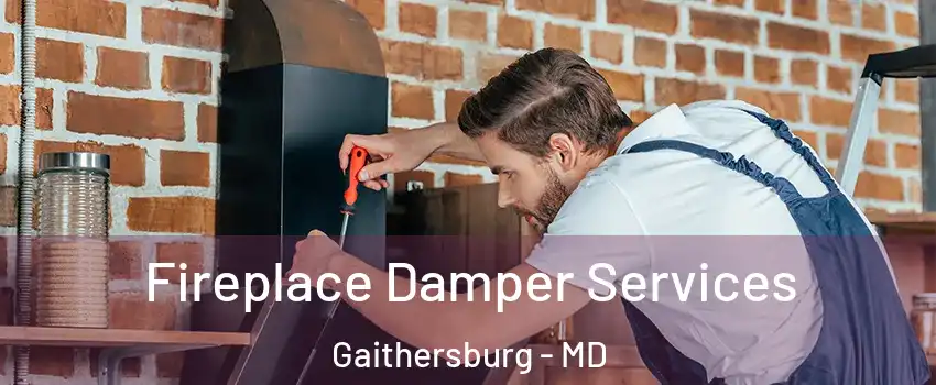  Fireplace Damper Services Gaithersburg - MD