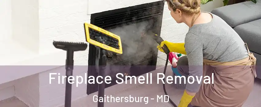  Fireplace Smell Removal Gaithersburg - MD