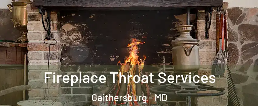  Fireplace Throat Services Gaithersburg - MD