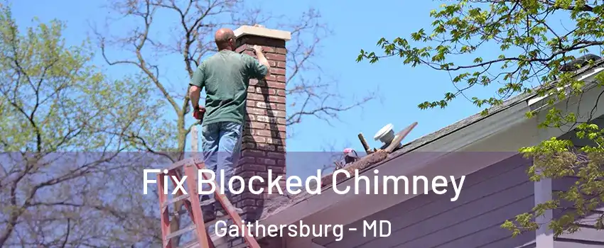  Fix Blocked Chimney Gaithersburg - MD