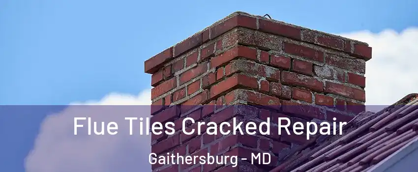  Flue Tiles Cracked Repair Gaithersburg - MD