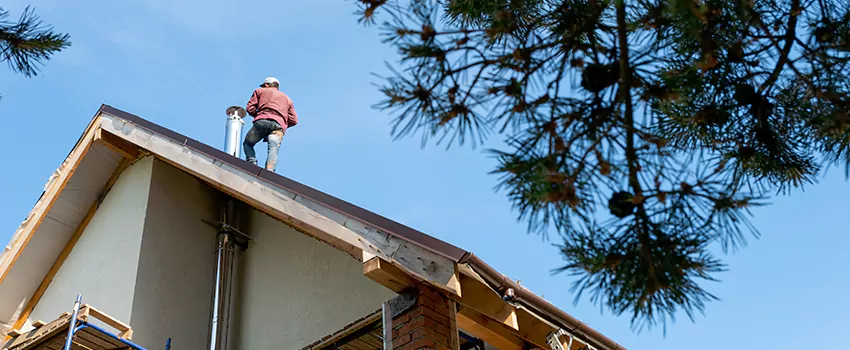 Birds Removal Contractors from Chimney in Gaithersburg, MD