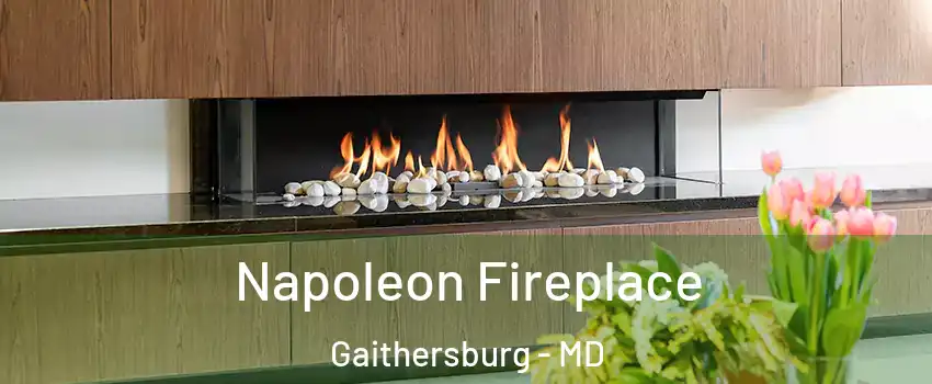  Napoleon Fireplace Gaithersburg - MD