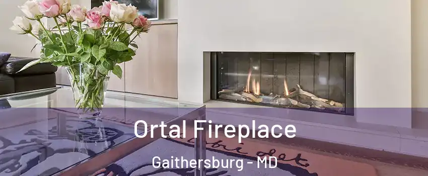 Ortal Fireplace Gaithersburg - MD